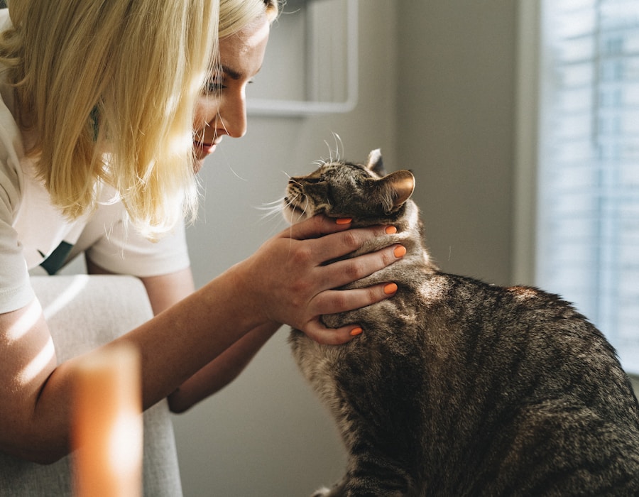 Vétérinaire examinant un petit chien sur une table de soins.